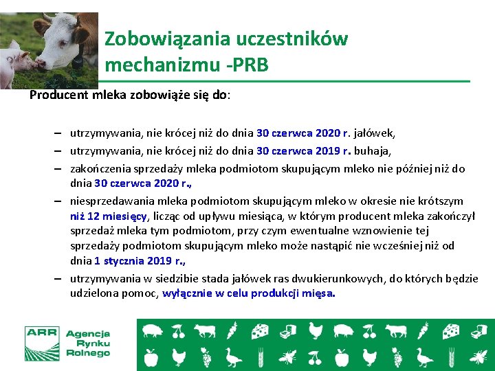 Zobowiązania uczestników mechanizmu -PRB Producent mleka zobowiąże się do: – utrzymywania, nie krócej niż