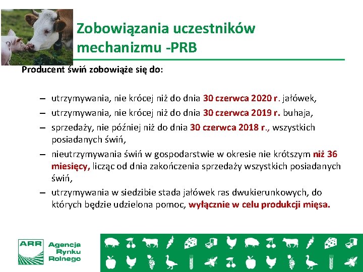 Zobowiązania uczestników mechanizmu -PRB Producent świń zobowiąże się do: – utrzymywania, nie krócej niż