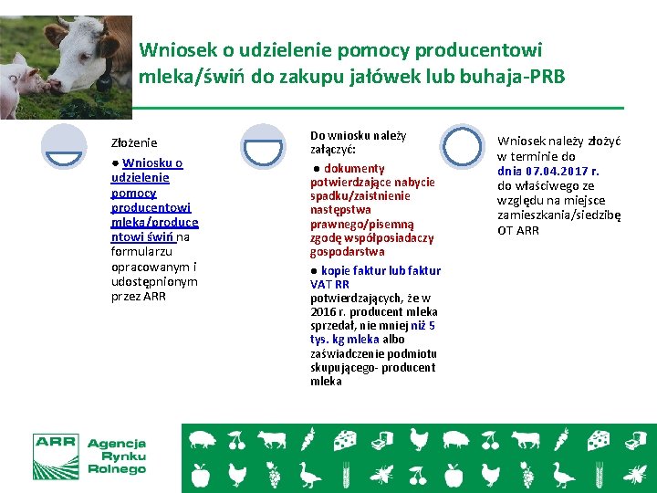 Wniosek o udzielenie pomocy producentowi mleka/świń do zakupu jałówek lub buhaja-PRB Złożenie ● Wniosku