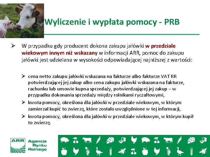 Wyliczenie i wypłata pomocy - PRB Ø W przypadku gdy producent dokona zakupu jałówki