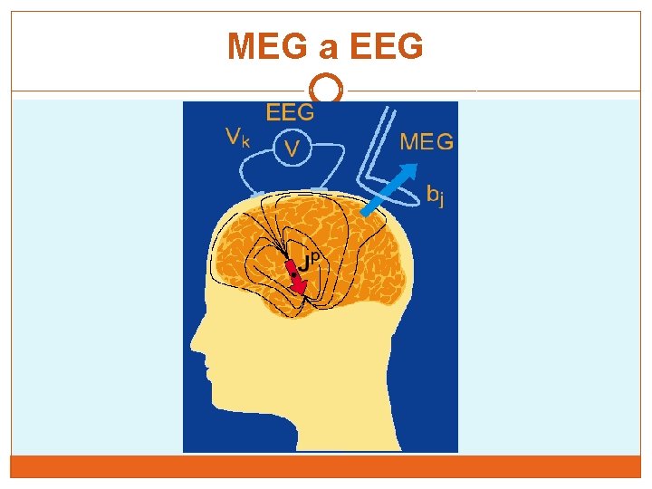 MEG a EEG 