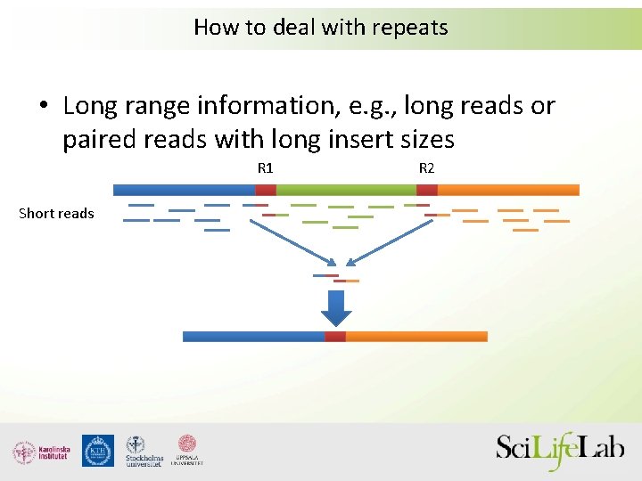 How to deal with repeats • Long range information, e. g. , long reads