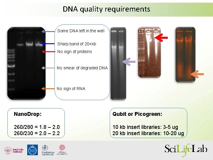 DNA quality requirements Some DNA left in the well Sharp band of 20+kb No