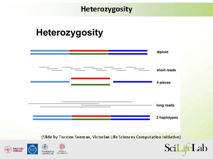 Heterozygosity (Slide by Torsten Seeman, Victorian Life Sciences Computation Initiative) 