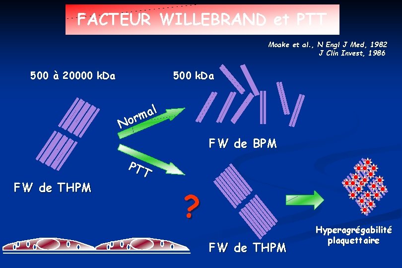 FACTEUR WILLEBRAND et PTT Moake et al. , N Engl J Med, 1982 J