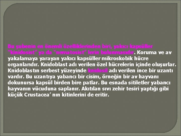 Bu şubenin en önemli özelliklerinden biri, yakıcı kapsüller “kinidosist” ya da “nematosist” lerin bulunmasıdır.