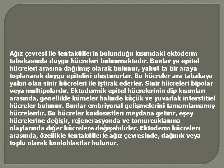 Ağız çevresi ile tentaküllerin bulunduğu kısımdaki ektoderm tabakasında duygu hücreleri bulunmaktadır. Bunlar ya epitel