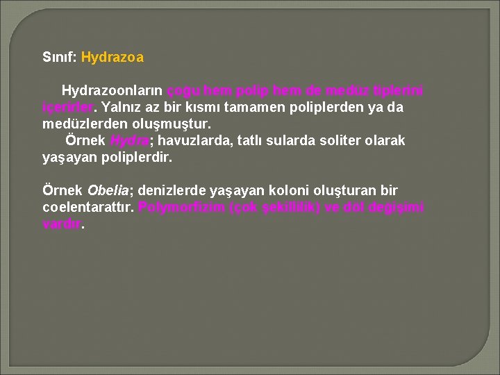 Sınıf: Hydrazoa Hydrazoonların çoğu hem polip hem de medüz tiplerini içerirler. Yalnız az bir