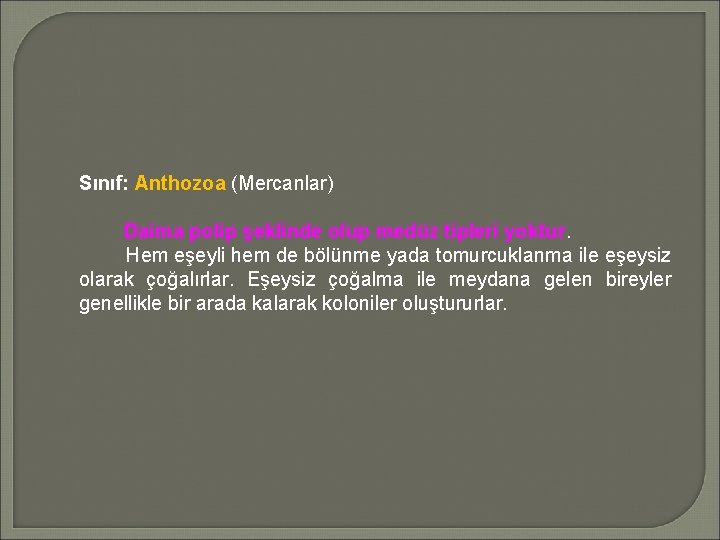 Sınıf: Anthozoa (Mercanlar) Daima polip şeklinde olup medüz tipleri yoktur. Hem eşeyli hem de