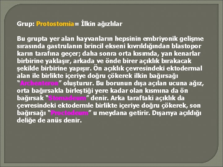 Grup: Protostomia= İlkin ağızlılar Bu grupta yer alan hayvanların hepsinin embriyonik gelişme sırasında gastrulanın