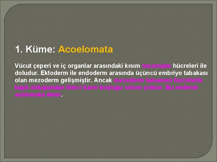 1. Küme: Acoelomata Vücut çeperi ve iç organlar arasındaki kısım mezenşim hücreleri ile doludur.