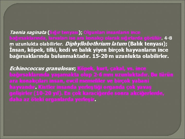 Taenia saginata (Sığır tenyası); Olgunları insanların ince bağırsaklarında, larvaları ise ara konakçı olarak sığırlarda