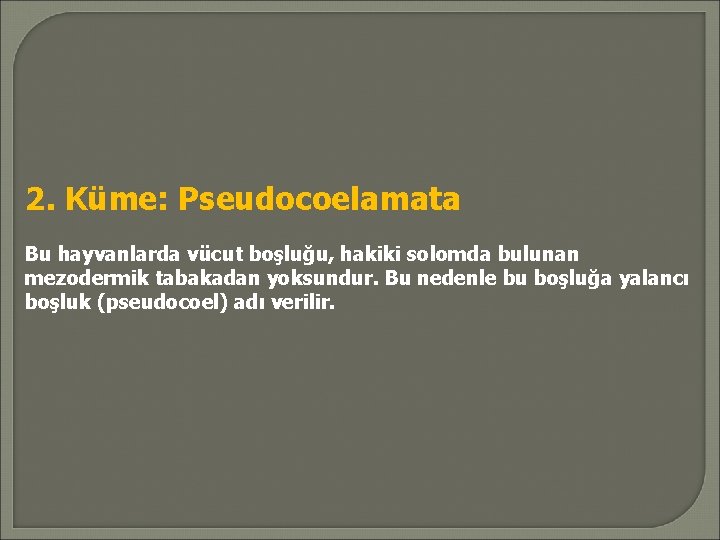 2. Küme: Pseudocoelamata Bu hayvanlarda vücut boşluğu, hakiki solomda bulunan mezodermik tabakadan yoksundur. Bu