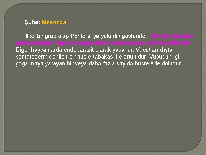 Şube: Mesozoa İlkel bir grup olup Porifera’ ya yakınlık gösterirler. Gerçek dokuları gelişmemiştir. Ağız