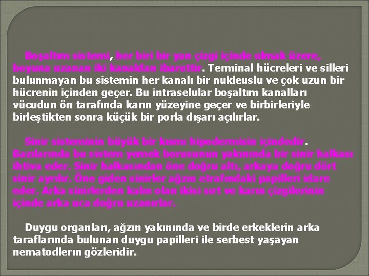 Boşaltım sistemi, her biri bir yan çizgi içinde olmak üzere, boyuna uzanan iki kanaldan