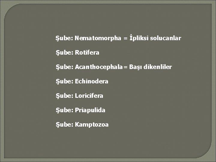 Şube: Nematomorpha = İpliksi solucanlar Şube: Rotifera Şube: Acanthocephala= Başı dikenliler Şube: Echinodera Şube: