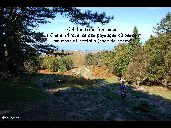 Col des trois fontaines Le Chemin traverse des paysages où passent moutons et pottoks