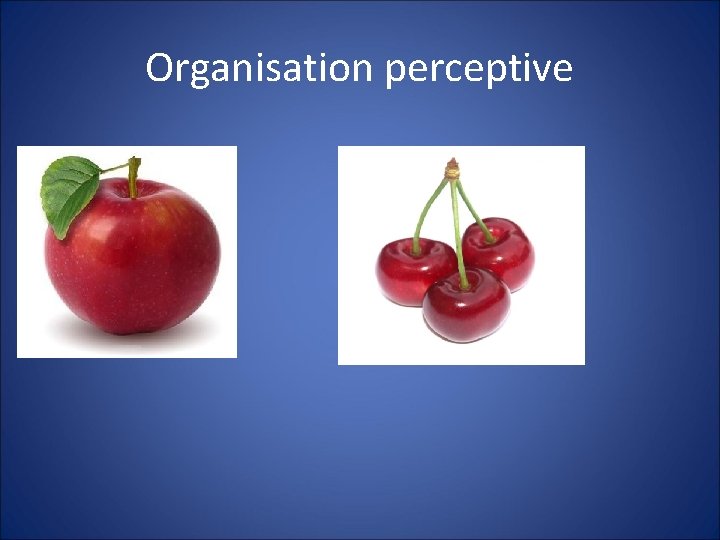 Organisation perceptive 