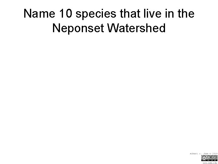 Name 10 species that live in the Neponset Watershed 