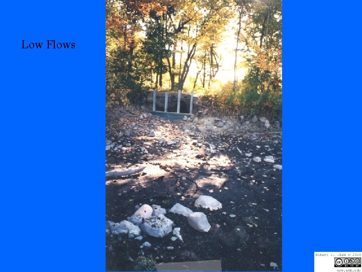 Low Flows 