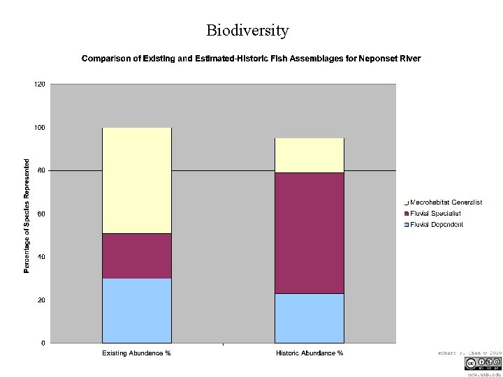 Biodiversity 