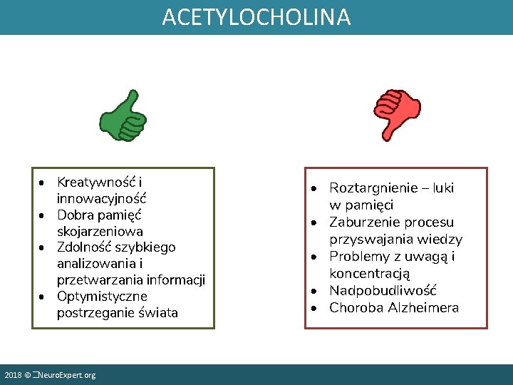 ACETYLOCHOLINA • Kreatywność i innowacyjność • Dobra pamięć skojarzeniowa • Zdolność szybkiego analizowania i