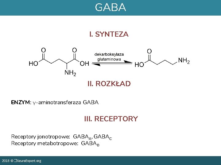 GABA I. SYNTEZA II. ROZKŁAD ENZYM: γ-aminotransferaza GABA III. RECEPTORY Receptory jonotropowe: GABAA, GABAC