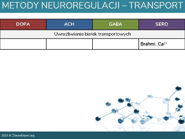 METODY NEUROREGULACJI – TRANSPORT DOPA ACH GABA SERO Uwrażliwianie białek transportowych Brahmi, Ca 2+