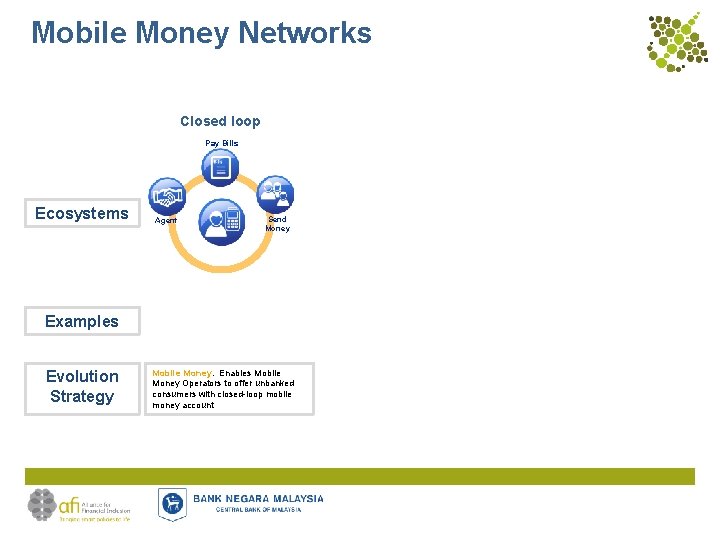 Mobile Money Networks Closed loop Pay Bills Ecosystems Agent Send Money Examples Evolution Strategy