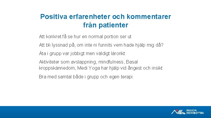 Positiva erfarenheter och kommentarer från patienter Att konkret få se hur en normal portion