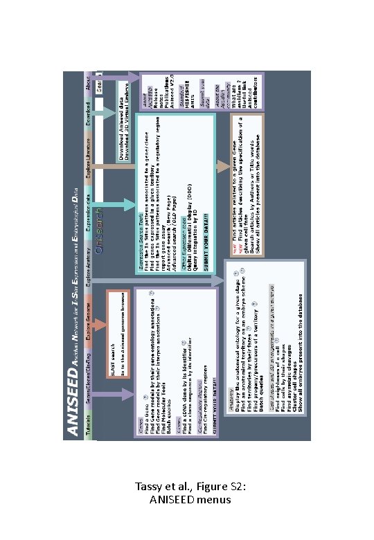 Tassy et al. , Figure S 2: ANISEED menus 