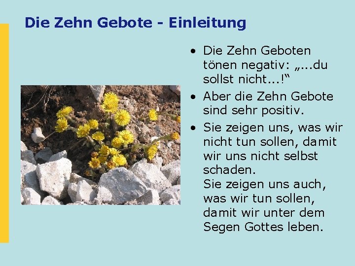 Die Zehn Gebote - Einleitung • Die Zehn Geboten tönen negativ: „. . .