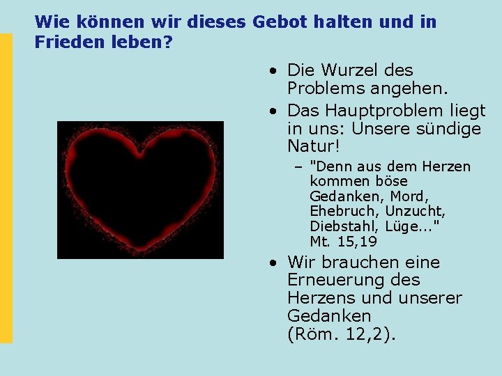 Wie können wir dieses Gebot halten und in Frieden leben? • Die Wurzel des