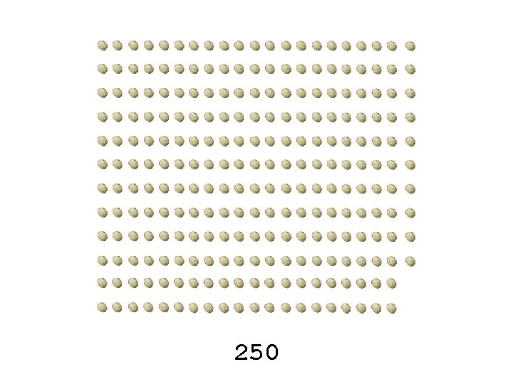 250 250