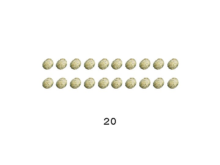 20 20