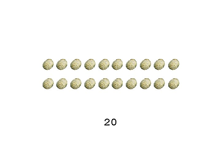 20 