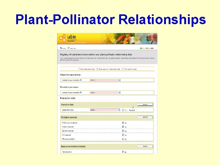 Plant-Pollinator Relationships 