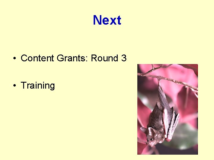 Next • Content Grants: Round 3 • Training 