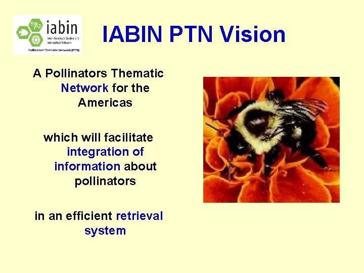 IABIN PTN Vision A Pollinators Thematic Network for the Americas which will facilitate integration