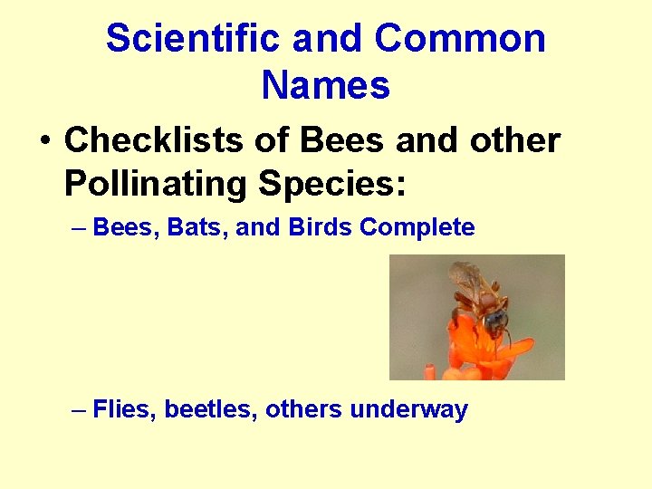 Scientific and Common Names • Checklists of Bees and other Pollinating Species: – Bees,