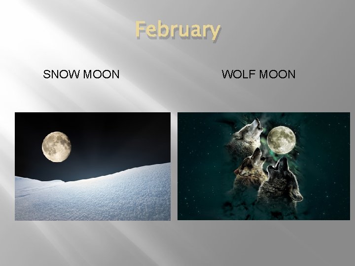 February SNOW MOON WOLF MOON 