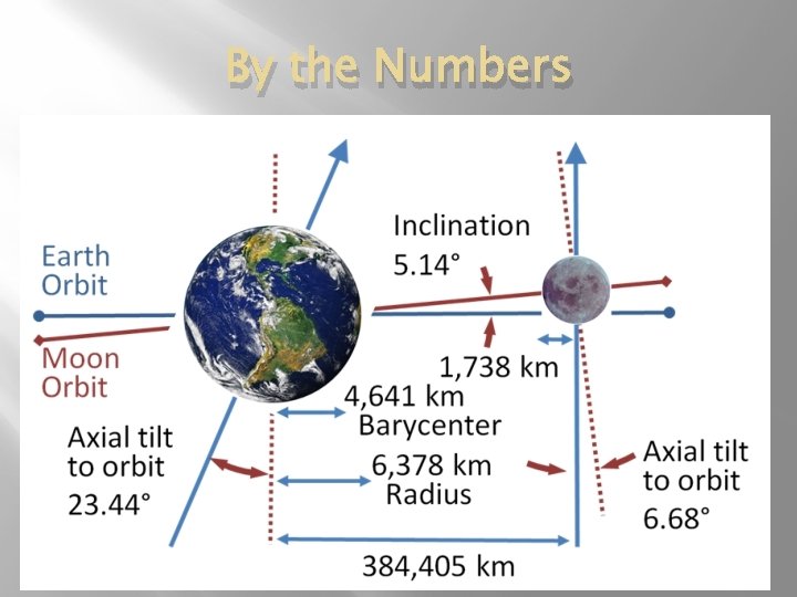 By the Numbers 