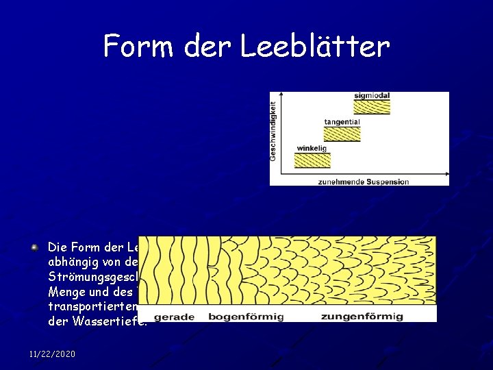 Form der Leeblätter Die Form der Leeblätter ist abhängig von der Strömungsgeschwindigkeit, der Menge