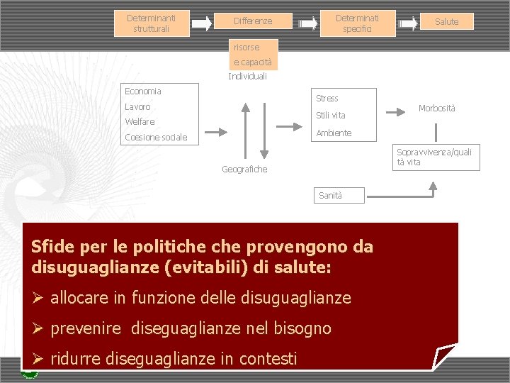 Determinanti strutturali Determinati specifici Differenze Salute risorse e capacità Individuali Economia Stress Lavoro Stili Determinanti strutturali Determinati specifici Differenze Salute risorse e capacità Individuali Economia Stress Lavoro Stili
