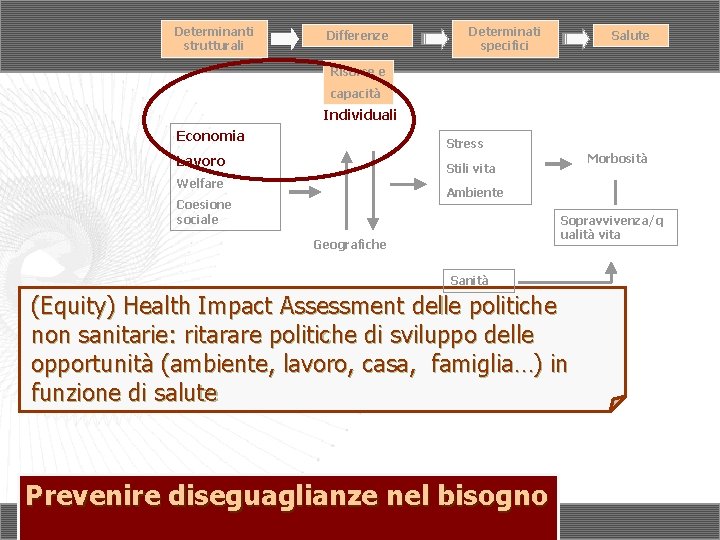 Determinanti strutturali Differenze Determinati specifici Salute Risorse e capacità Individuali Economia Stress Lavoro Morbosità Determinanti strutturali Differenze Determinati specifici Salute Risorse e capacità Individuali Economia Stress Lavoro Morbosità