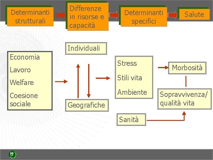 Determinanti strutturali Differenze in risorse e capacità Determinanti specifici Salute Individuali Economia Stress Lavoro Determinanti strutturali Differenze in risorse e capacità Determinanti specifici Salute Individuali Economia Stress Lavoro