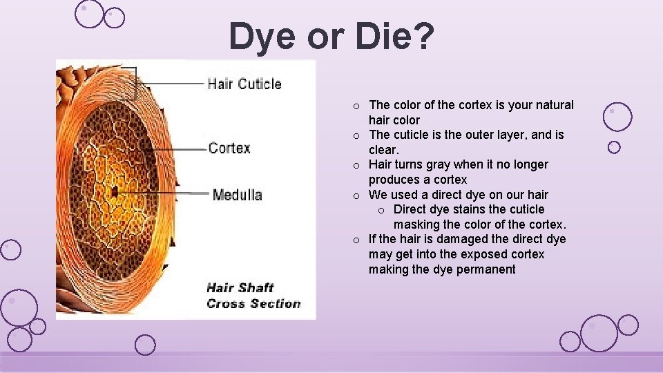 Dye or Die? o The color of the cortex is your natural hair color