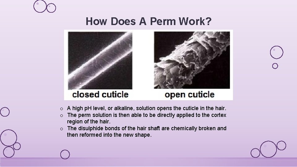 How Does A Perm Work? o A high p. H level, or alkaline, solution