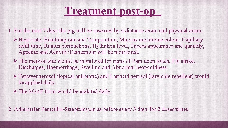 Treatment post-op 1. For the next 7 days the pig will be assessed by