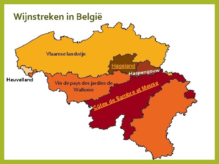 Wijnstreken in België Vlaamse landwijn Heuvelland Hageland uw Haspengo Vin de pays des jardins
